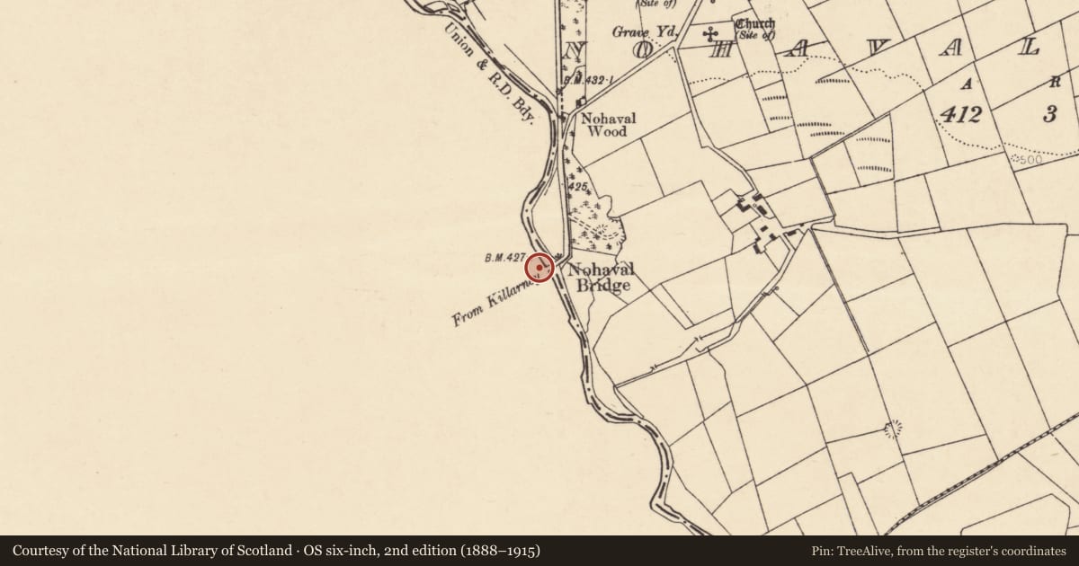 Ordnance Survey six-inch map, 2nd edition (1888–1915) covering the location of Bridge, Nohaval Lower, County Cork, with a pin at the register's coordinates