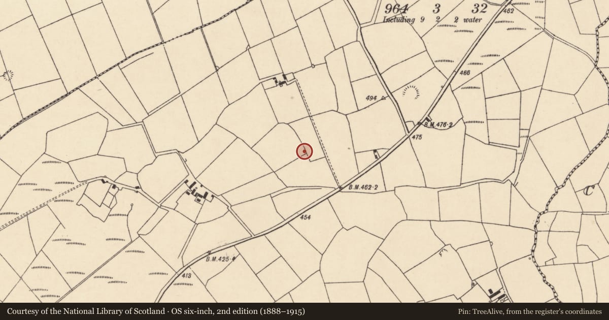 Ordnance Survey six-inch map, 2nd edition (1888–1915) covering the location of Enclosure, Nohaval Daly, County Cork, with a pin at the register's coordinates