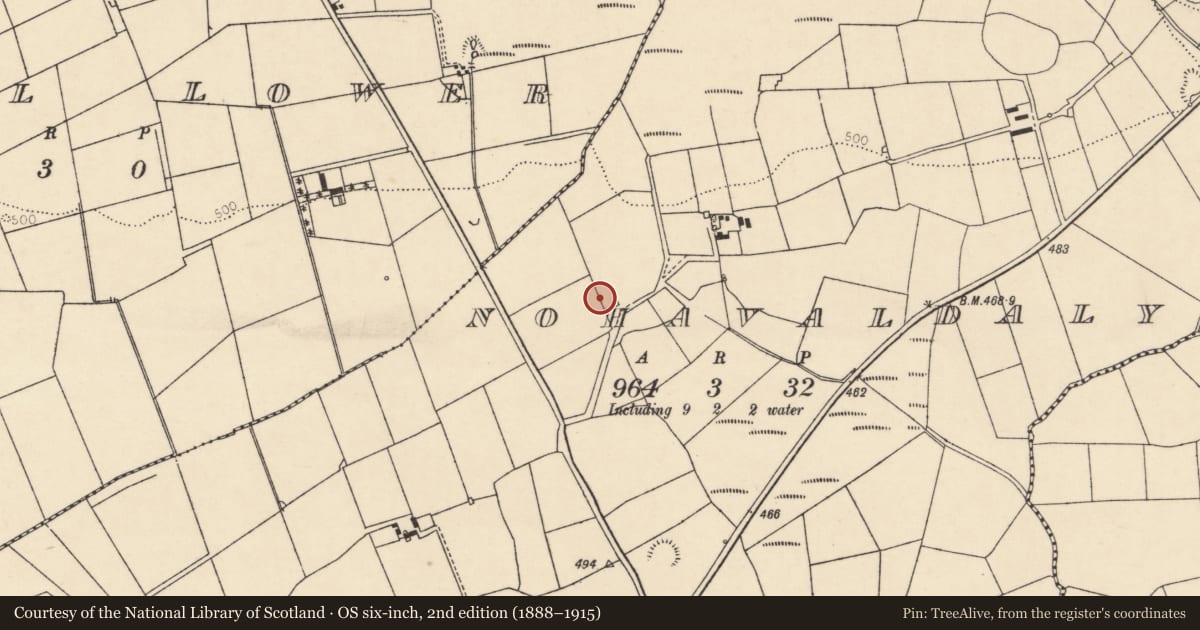 Ordnance Survey six-inch map, 2nd edition (1888–1915) covering the location of Kiln - lime, Nohaval Daly, County Cork, with a pin at the register's coordinates