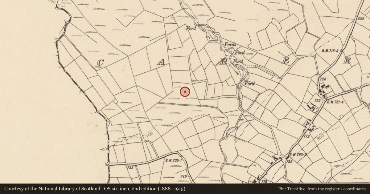 Ordnance Survey six-inch map, 2nd edition (1888–1915) covering the location of Field boundary, Caherbarnagh, County Cork, with a pin at the register's coordinates