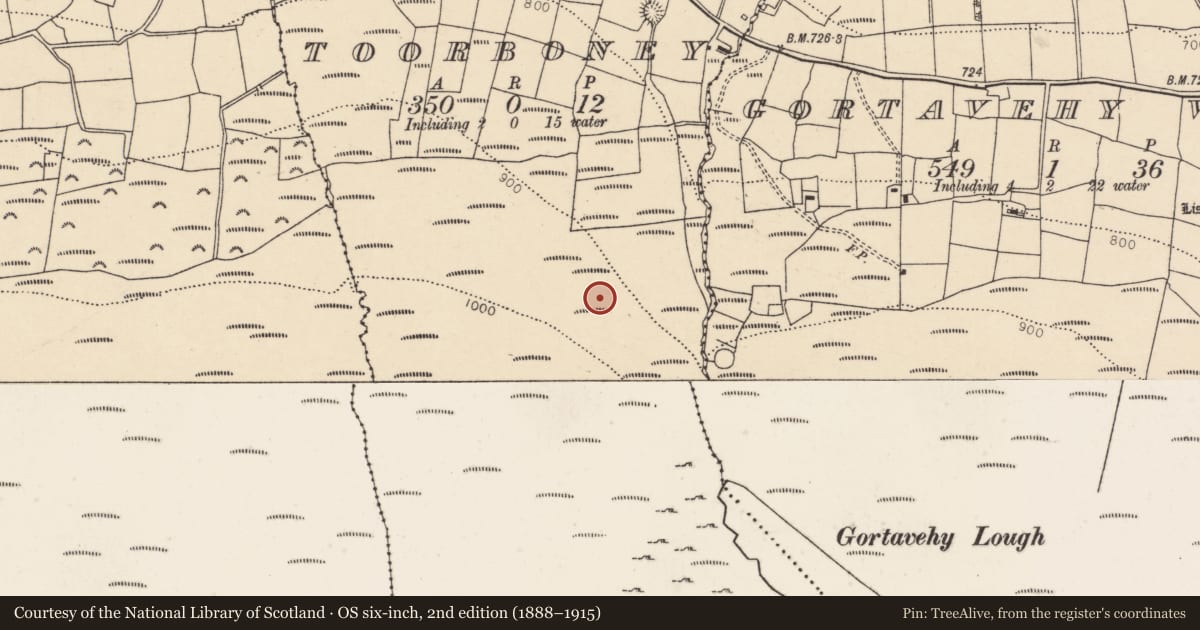 Ordnance Survey six-inch map, 2nd edition (1888–1915) covering the location of Enclosure, Toorboney, County Cork, with a pin at the register's coordinates