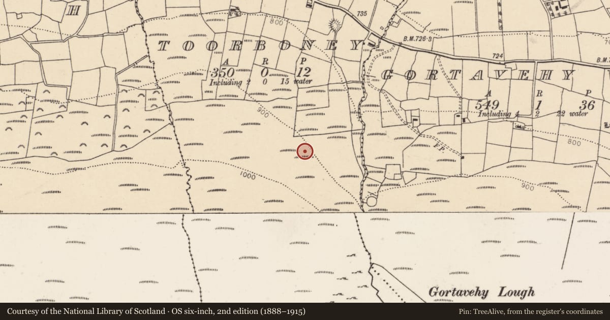 Ordnance Survey six-inch map, 2nd edition (1888–1915) covering the location of Field boundary, Toorboney, County Cork, with a pin at the register's coordinates