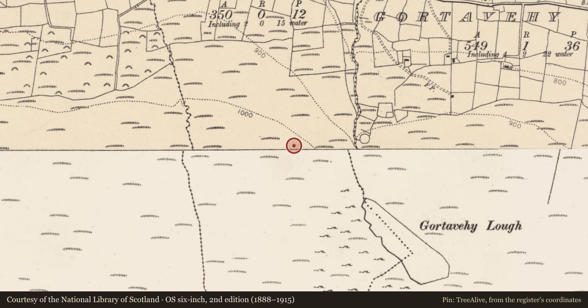 Ordnance Survey six-inch map, 2nd edition (1888–1915) covering the location of Field boundary, Toorboney, County Cork, with a pin at the register's coordinates