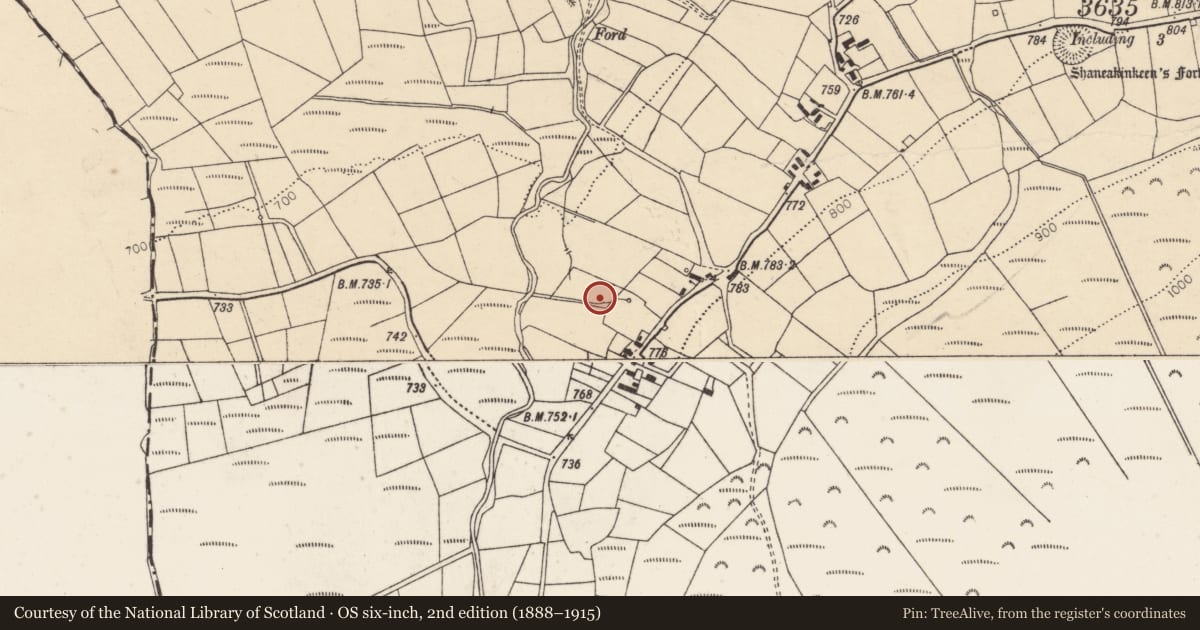 Ordnance Survey six-inch map, 2nd edition (1888–1915) covering the location of Fulacht fia, Caherbarnagh, County Cork, with a pin at the register's coordinates