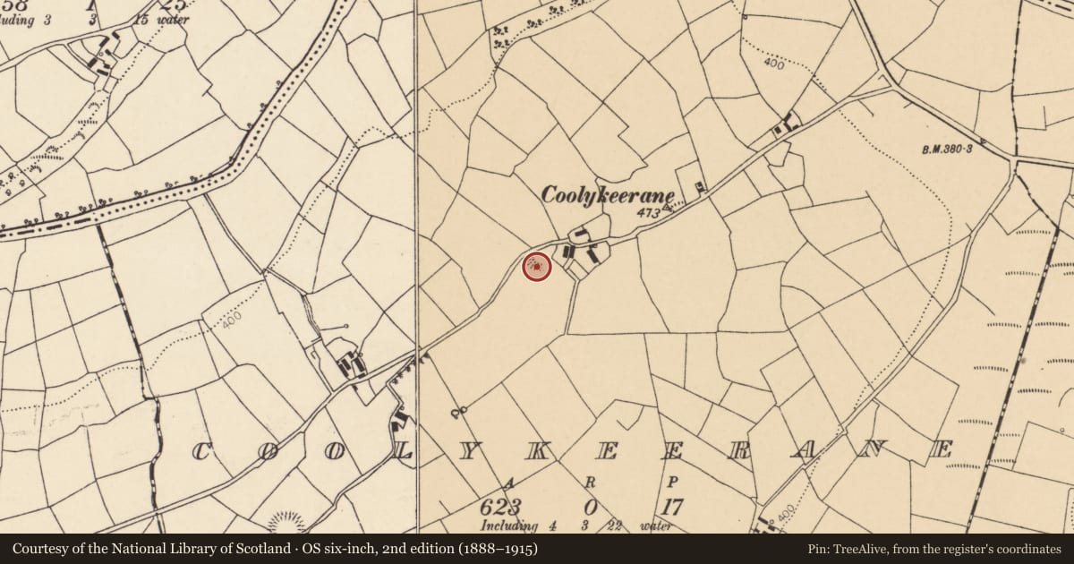 Ordnance Survey six-inch map, 2nd edition (1888–1915) covering the location of Kiln - lime, Coolykeerane, County Cork, with a pin at the register's coordinates