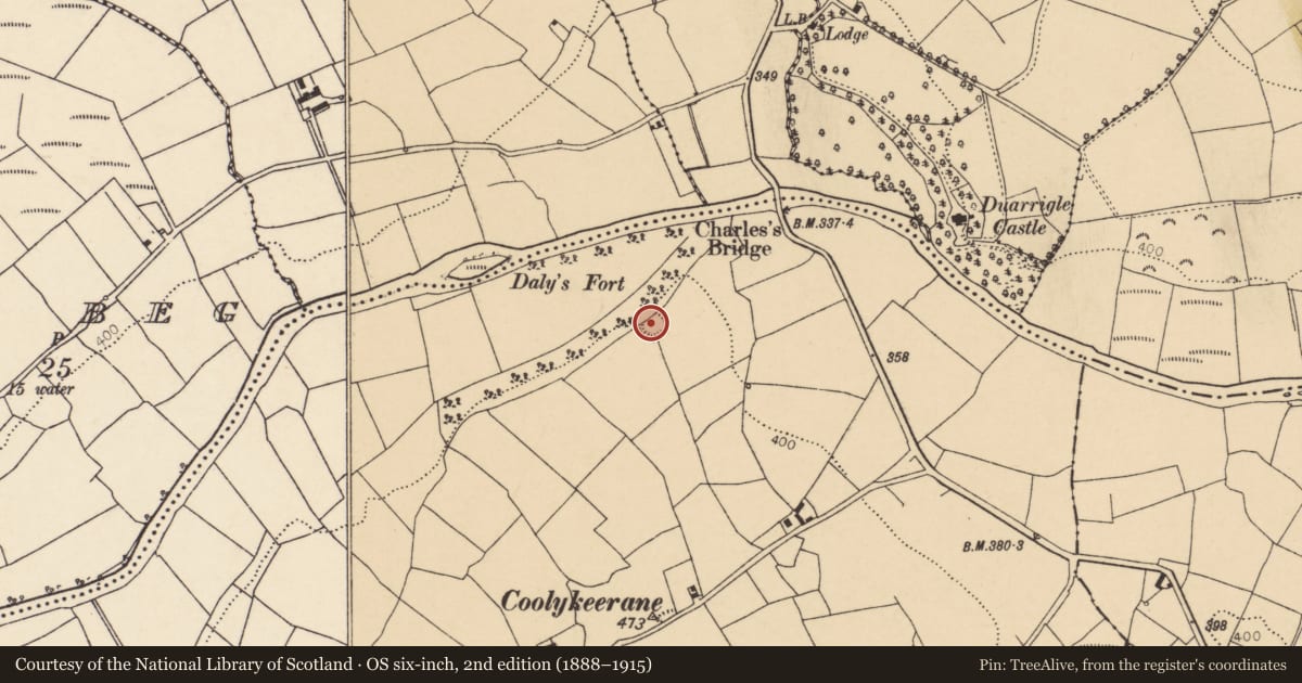 Ordnance Survey six-inch map, 2nd edition (1888–1915) covering the location of Ringfort - rath, Coolykeerane, County Cork, with a pin at the register's coordinates