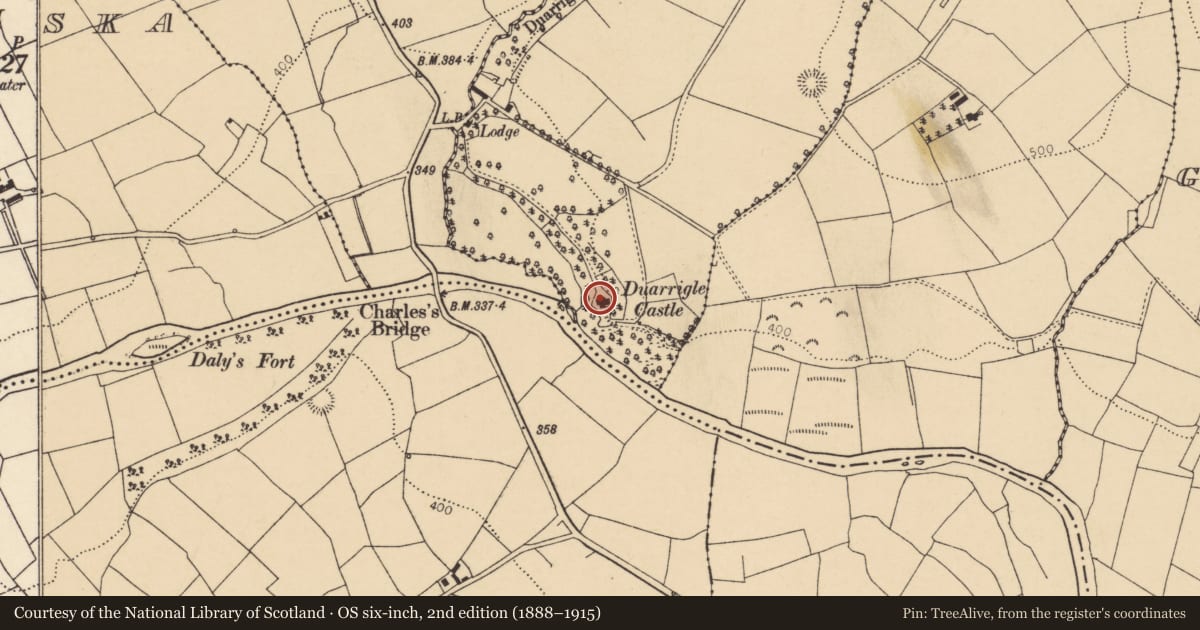 Ordnance Survey six-inch map, 2nd edition (1888–1915) covering the location of Country house, Duarrigle (Duhallow By., Cullen Par.), County Cork, with a pin at the register's coordinates
