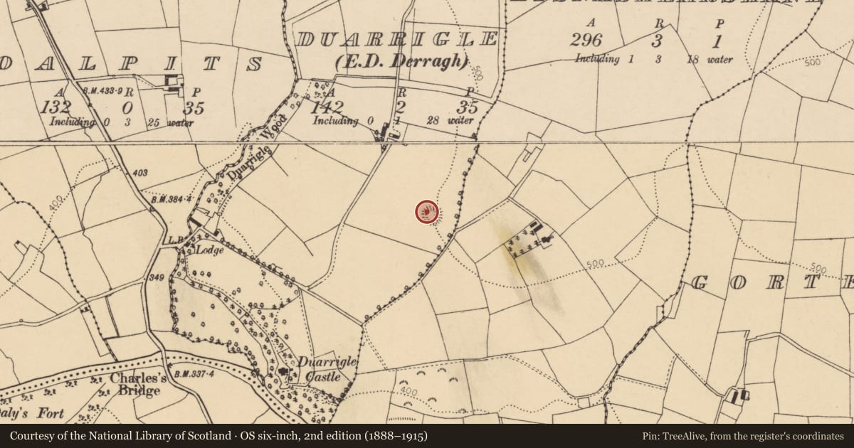 Ordnance Survey six-inch map, 2nd edition (1888–1915) covering the location of Ringfort - rath, Duarrigle (Duhallow By., Cullen Par.), County Cork, with a pin at the register's coordinates