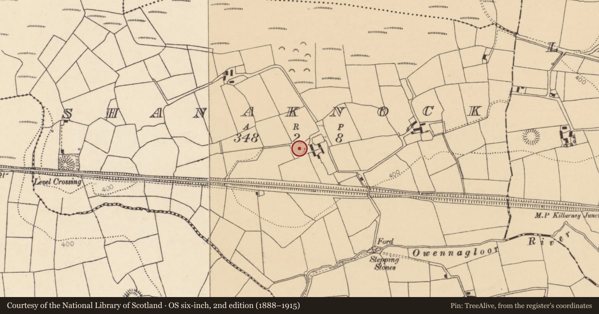 Ordnance Survey six-inch map, 2nd edition (1888–1915) covering the location of Ringfort - rath, Shanaknock, County Cork, with a pin at the register's coordinates