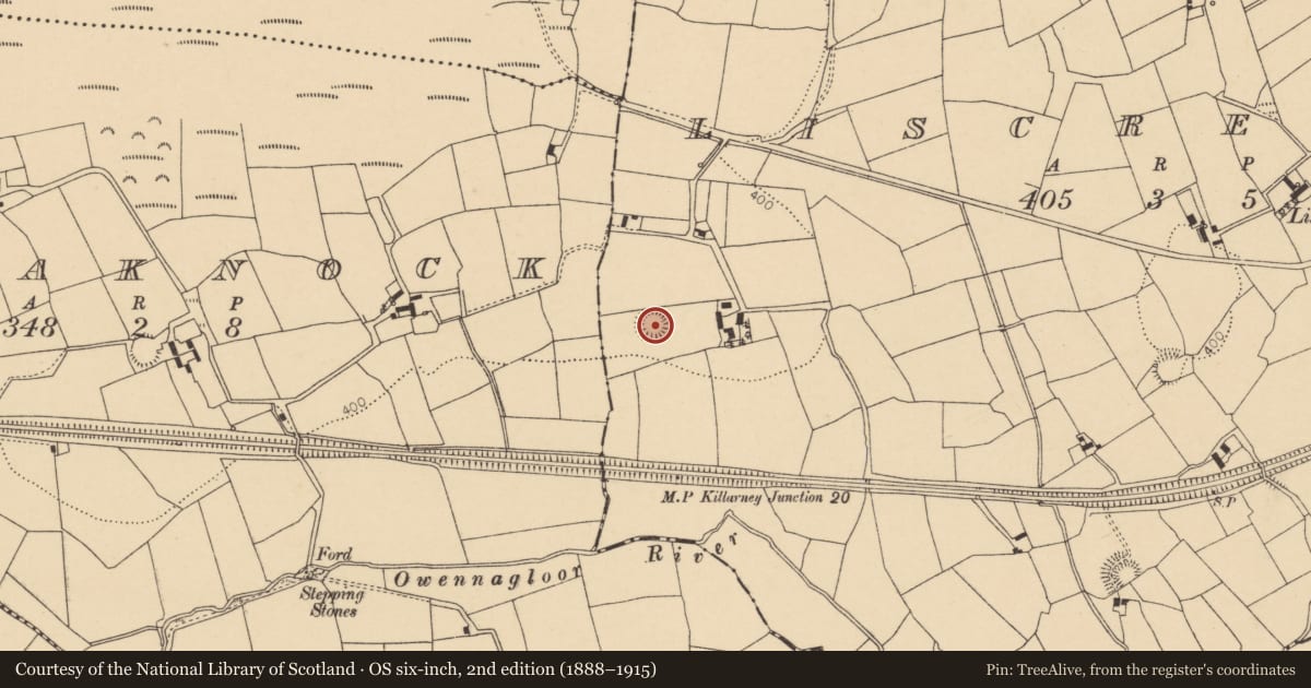 Ordnance Survey six-inch map, 2nd edition (1888–1915) covering the location of Ringfort - rath, Liscreagh, County Cork, with a pin at the register's coordinates