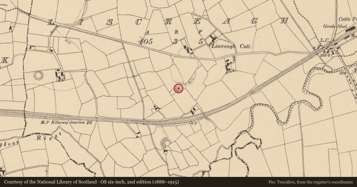 Ordnance Survey six-inch map, 2nd edition (1888–1915) covering the location of Ringfort - rath, Liscreagh, County Cork, with a pin at the register's coordinates