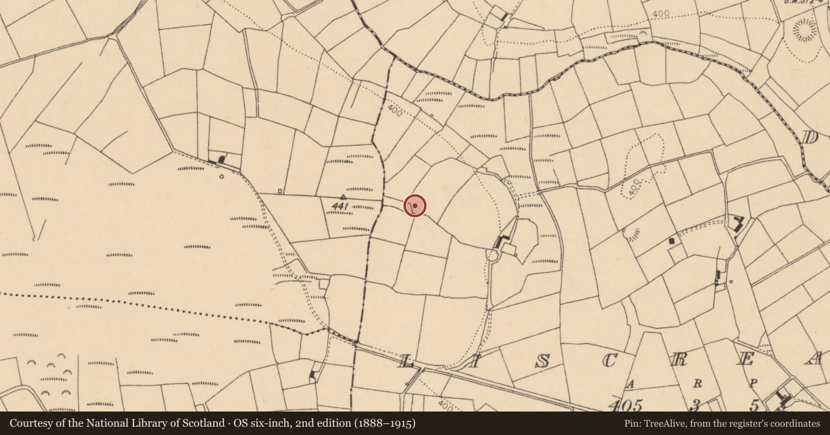 Ordnance Survey six-inch map, 2nd edition (1888–1915) covering the location of Ringfort - rath, Liscreagh, County Cork, with a pin at the register's coordinates