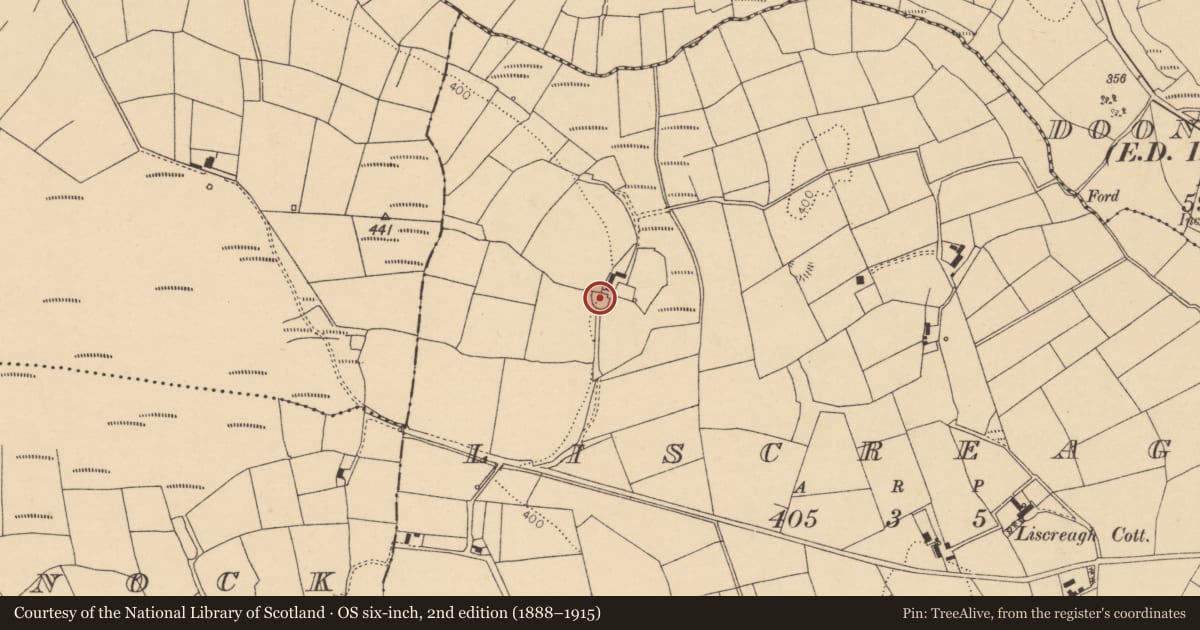 Ordnance Survey six-inch map, 2nd edition (1888–1915) covering the location of Ringfort - rath, Liscreagh, County Cork, with a pin at the register's coordinates