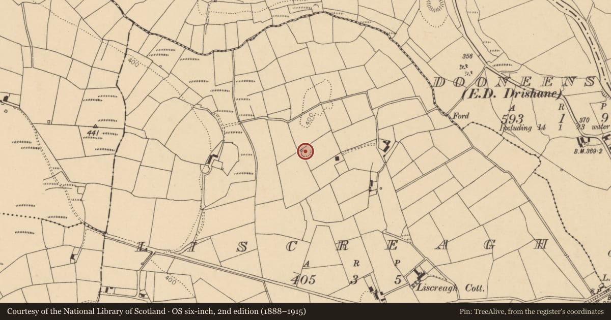 Ordnance Survey six-inch map, 2nd edition (1888–1915) covering the location of Ringfort - rath, Liscreagh, County Cork, with a pin at the register's coordinates