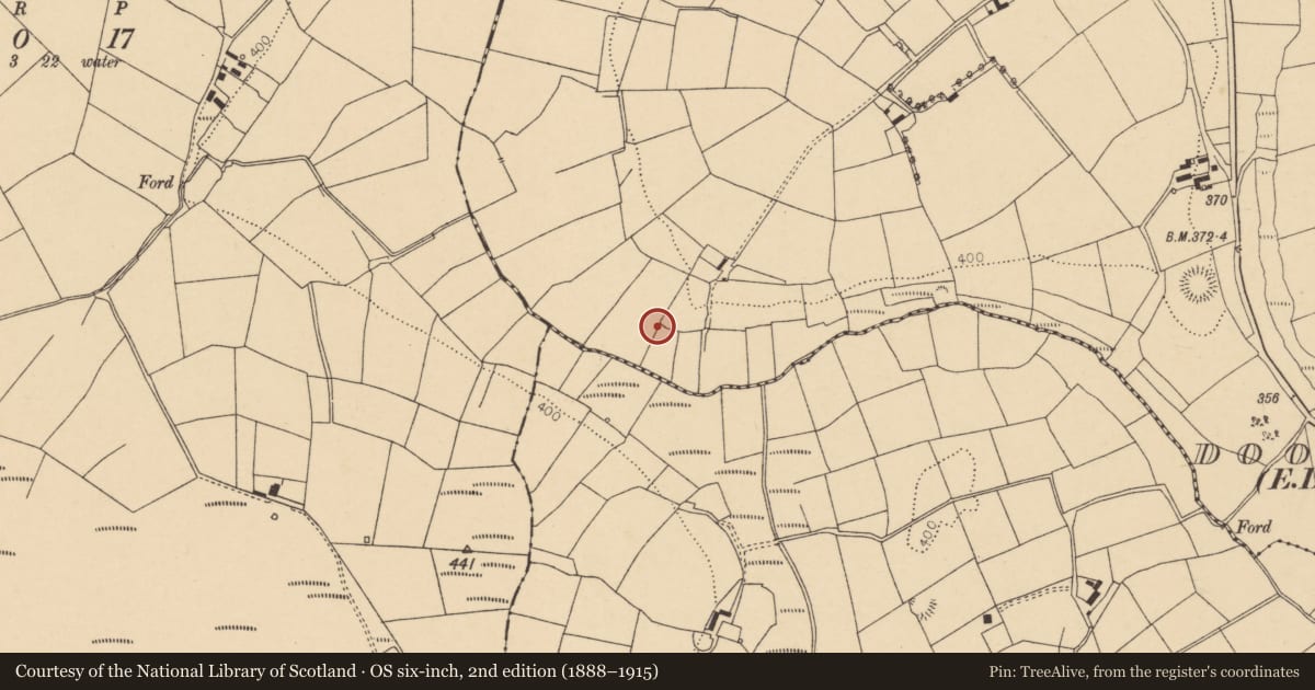 Ordnance Survey six-inch map, 2nd edition (1888–1915) covering the location of Fulacht fia, Dooneens (Muskerry West By., Drishane Par.), County Cork, with a pin at the register's coordinates