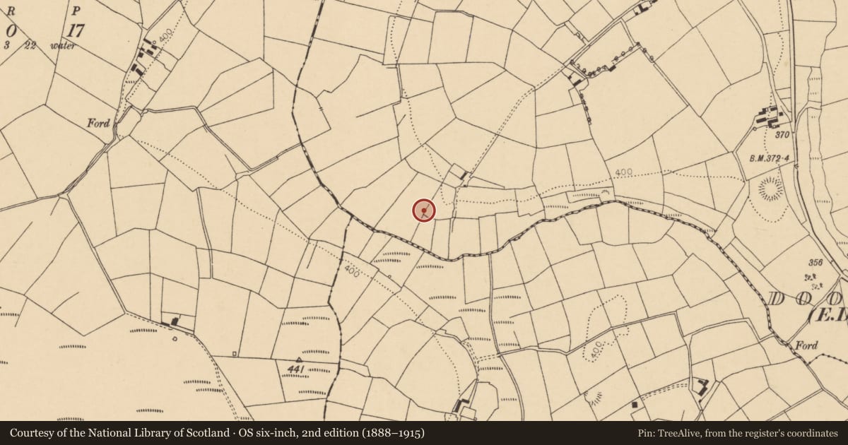 Ordnance Survey six-inch map, 2nd edition (1888–1915) covering the location of Fulacht fia, Dooneens (Muskerry West By., Drishane Par.), County Cork, with a pin at the register's coordinates
