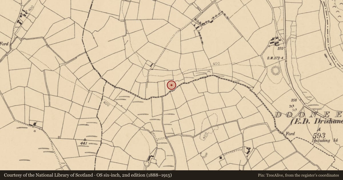 Ordnance Survey six-inch map, 2nd edition (1888–1915) covering the location of Fulacht fia, Dooneens (Muskerry West By., Drishane Par.), County Cork, with a pin at the register's coordinates