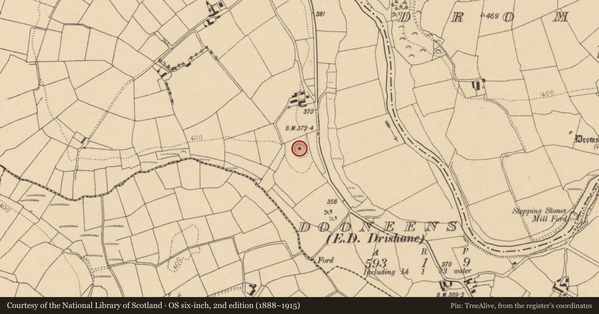 Ordnance Survey six-inch map, 2nd edition (1888–1915) covering the location of Ringfort - rath, Dooneens (Muskerry West By., Drishane Par.), County Cork, with a pin at the register's coordinates
