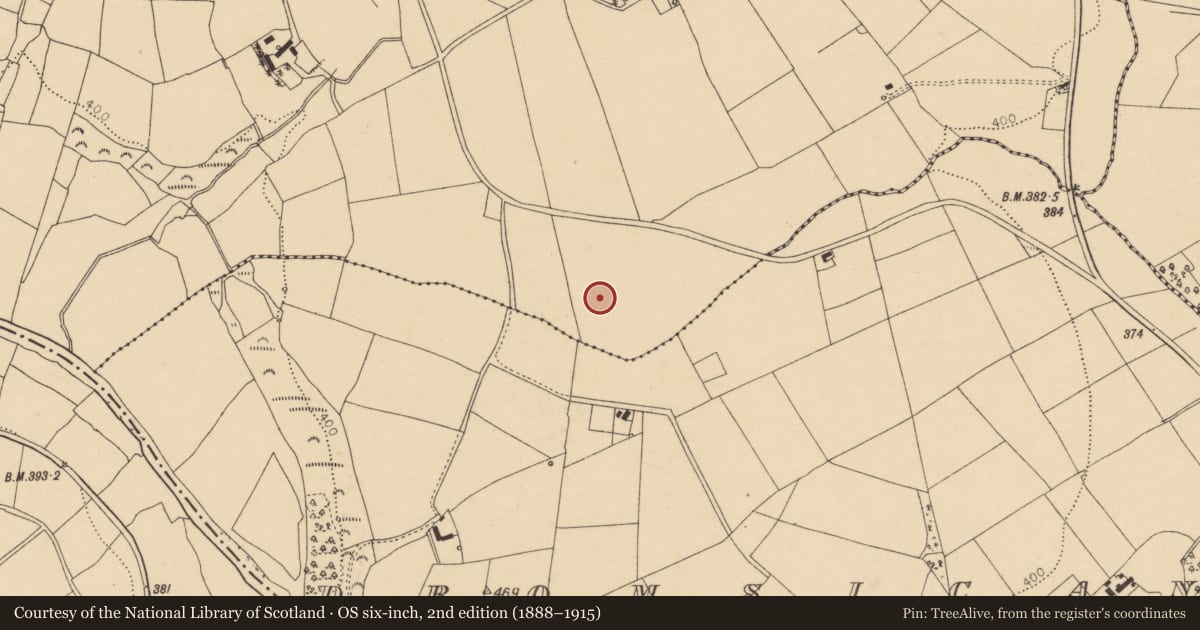 Ordnance Survey six-inch map, 2nd edition (1888–1915) covering the location of Church, Gorteennafinnoge, County Cork, with a pin at the register's coordinates
