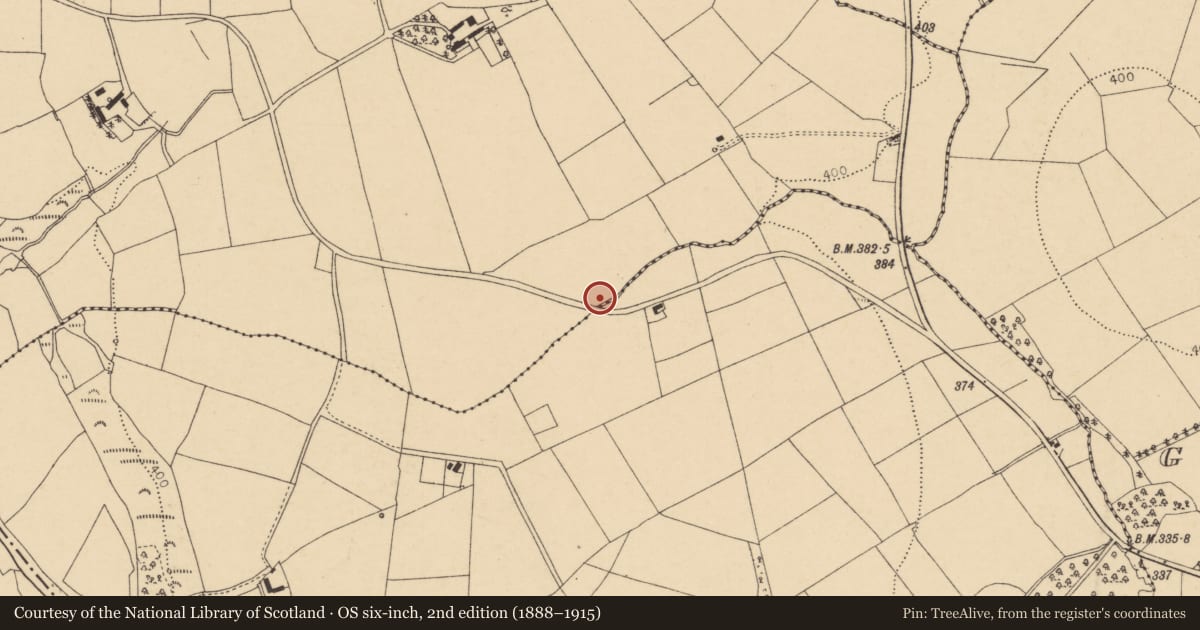 Ordnance Survey six-inch map, 2nd edition (1888–1915) covering the location of Fulacht fia, Gorteennafinnoge, County Cork, with a pin at the register's coordinates