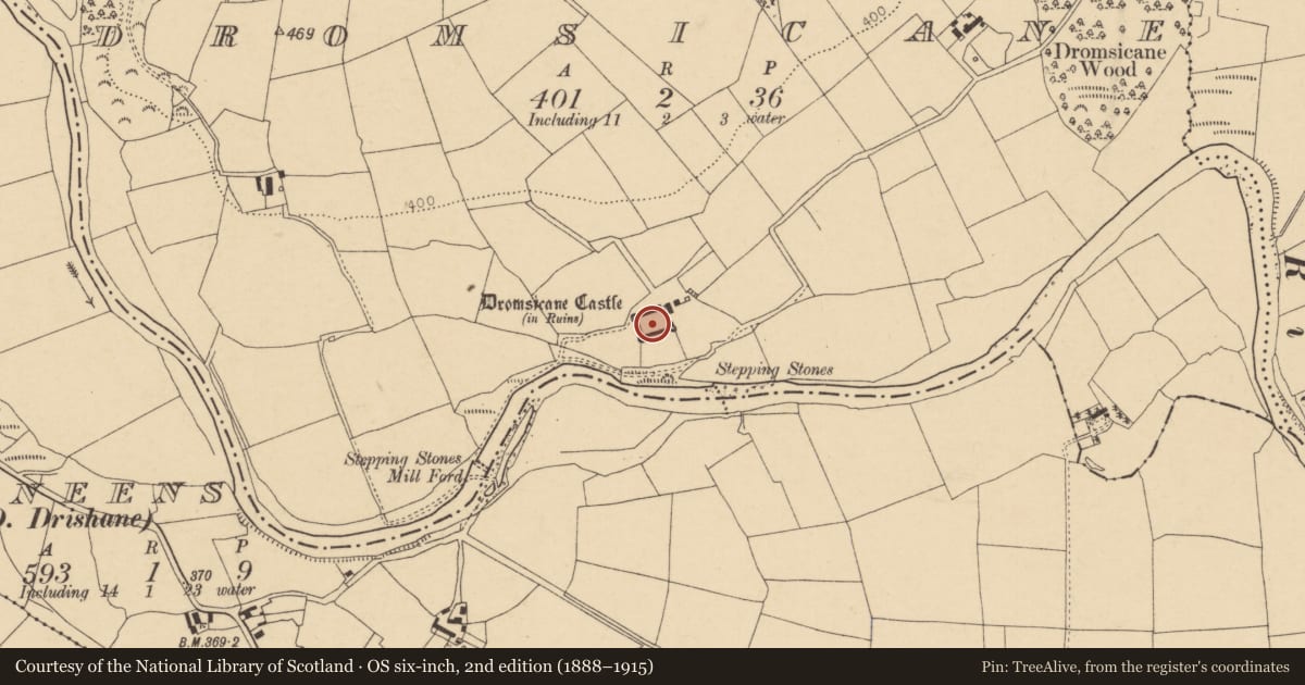 Ordnance Survey six-inch map, 2nd edition (1888–1915) covering the location of Bawn, Dromsicane, County Cork, with a pin at the register's coordinates