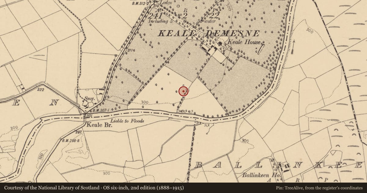 Ordnance Survey six-inch map, 2nd edition (1888–1915) covering the location of Ringfort - rath, Keale South, County Cork, with a pin at the register's coordinates