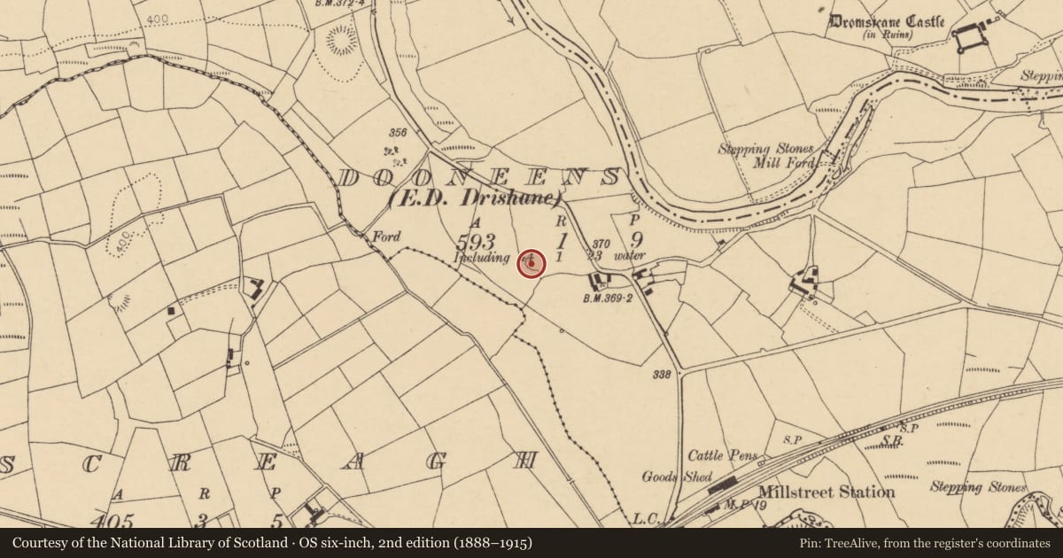 Ordnance Survey six-inch map, 2nd edition (1888–1915) covering the location of Ringfort - rath, Dooneens (Muskerry West By., Drishane Par.), County Cork, with a pin at the register's coordinates