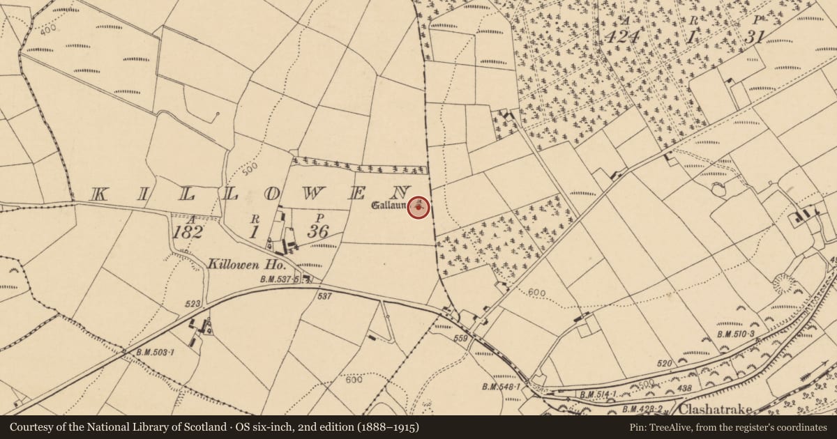 Ordnance Survey six-inch map, 2nd edition (1888–1915) covering the location of Standing stone, Killowen, County Cork, with a pin at the register's coordinates