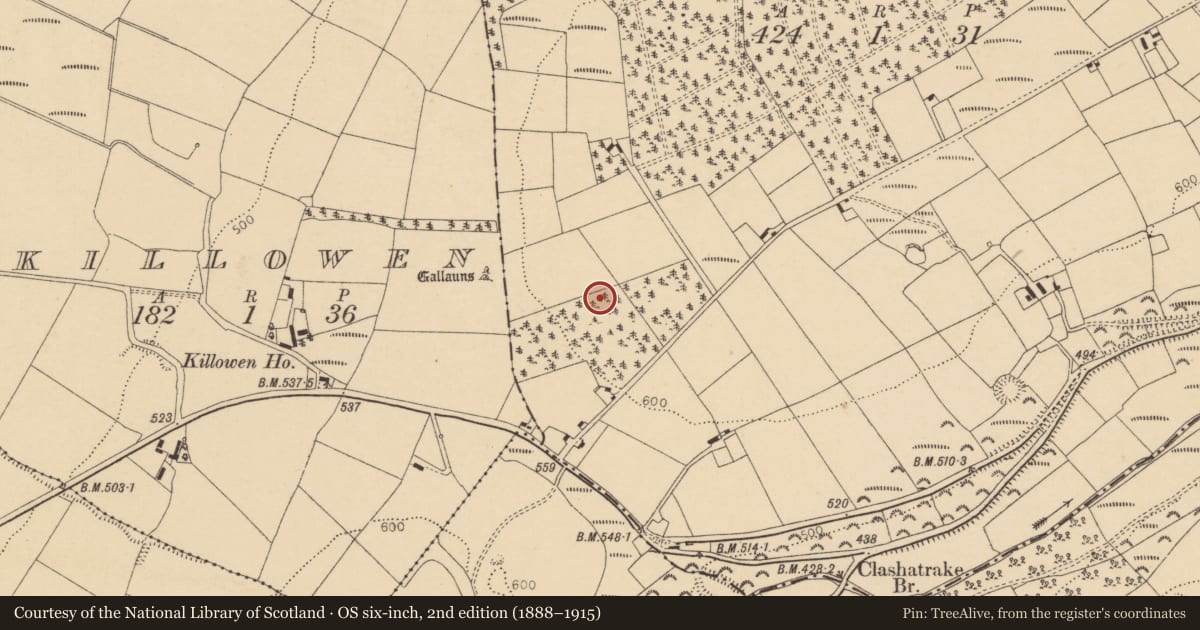 Ordnance Survey six-inch map, 2nd edition (1888–1915) covering the location of Ringfort - rath, Laght, County Cork, with a pin at the register's coordinates