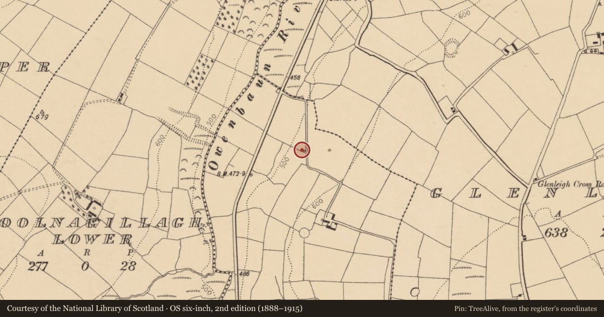 Ordnance Survey six-inch map, 2nd edition (1888–1915) covering the location of Kiln - lime, Laharan, County Cork, with a pin at the register's coordinates