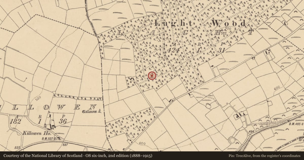 Ordnance Survey six-inch map, 2nd edition (1888–1915) covering the location of Standing stone, Laght, County Cork, with a pin at the register's coordinates