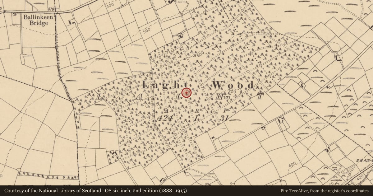 Ordnance Survey six-inch map, 2nd edition (1888–1915) covering the location of Standing stone, Laght, County Cork, with a pin at the register's coordinates