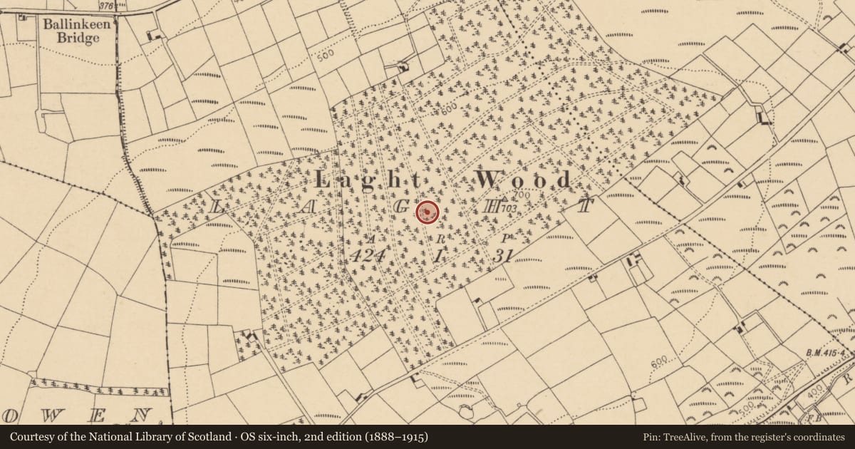 Ordnance Survey six-inch map, 2nd edition (1888–1915) covering the location of Standing stone, Laght, County Cork, with a pin at the register's coordinates