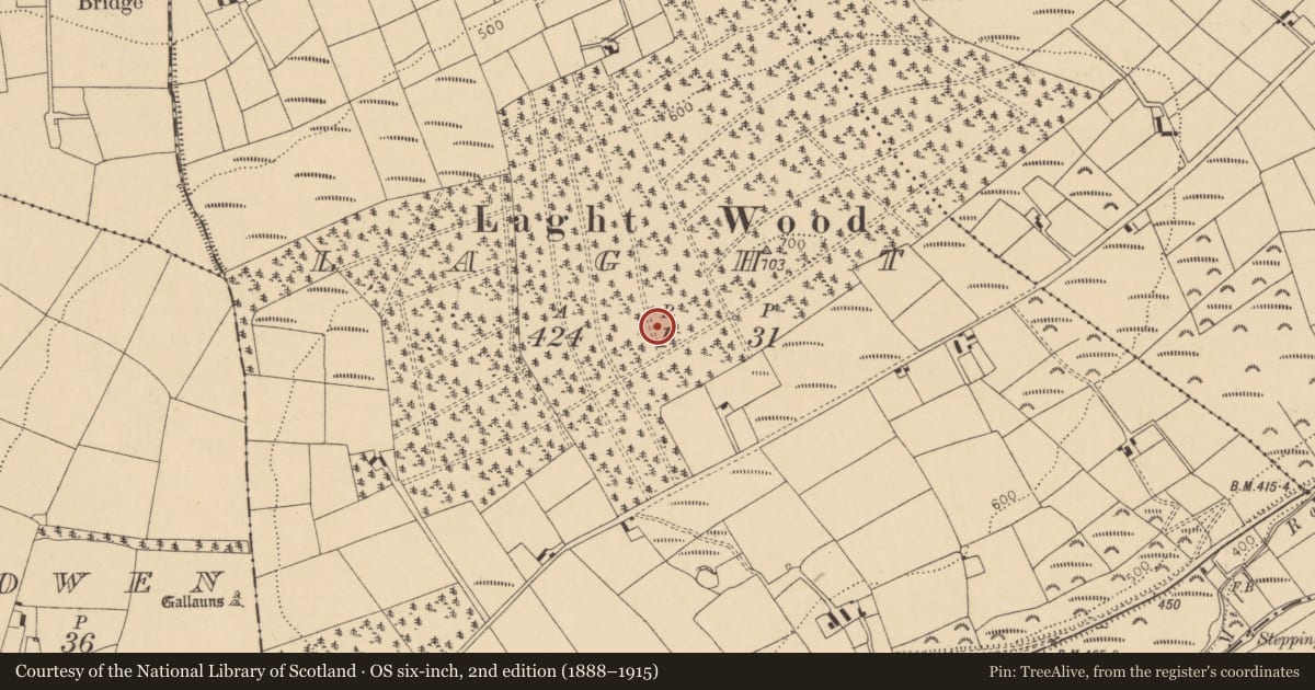Ordnance Survey six-inch map, 2nd edition (1888–1915) covering the location of Standing stone, Laght, County Cork, with a pin at the register's coordinates