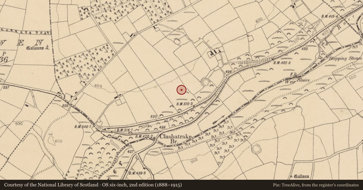 Ordnance Survey six-inch map, 2nd edition (1888–1915) covering the location of Ringfort - rath, Laght, County Cork, with a pin at the register's coordinates