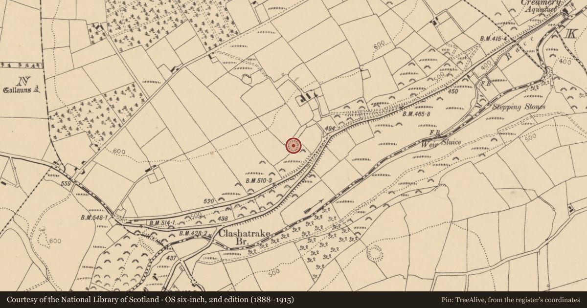 Ordnance Survey six-inch map, 2nd edition (1888–1915) covering the location of Ringfort - rath, Laght, County Cork, with a pin at the register's coordinates