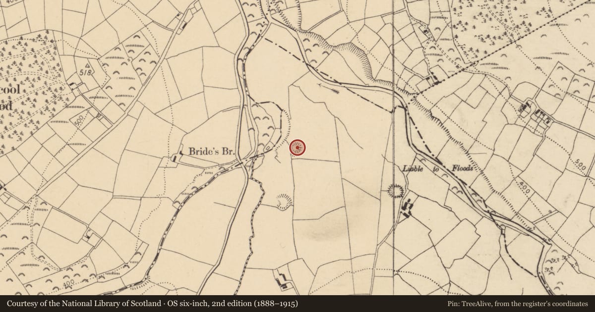 Ordnance Survey six-inch map, 2nd edition (1888–1915) covering the location of Ringfort - rath, Shanakill, County Cork, with a pin at the register's coordinates