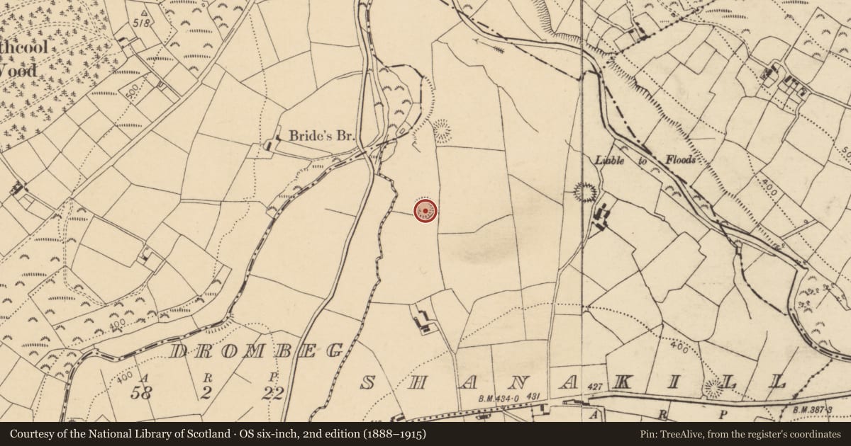 Ordnance Survey six-inch map, 2nd edition (1888–1915) covering the location of Ringfort - rath, Shanakill, County Cork, with a pin at the register's coordinates
