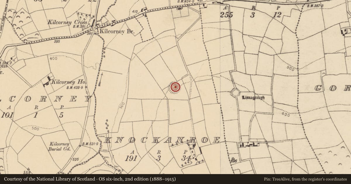 Ordnance Survey six-inch map, 2nd edition (1888–1915) covering the location of Ringfort - rath, Knockanroe, County Cork, with a pin at the register's coordinates