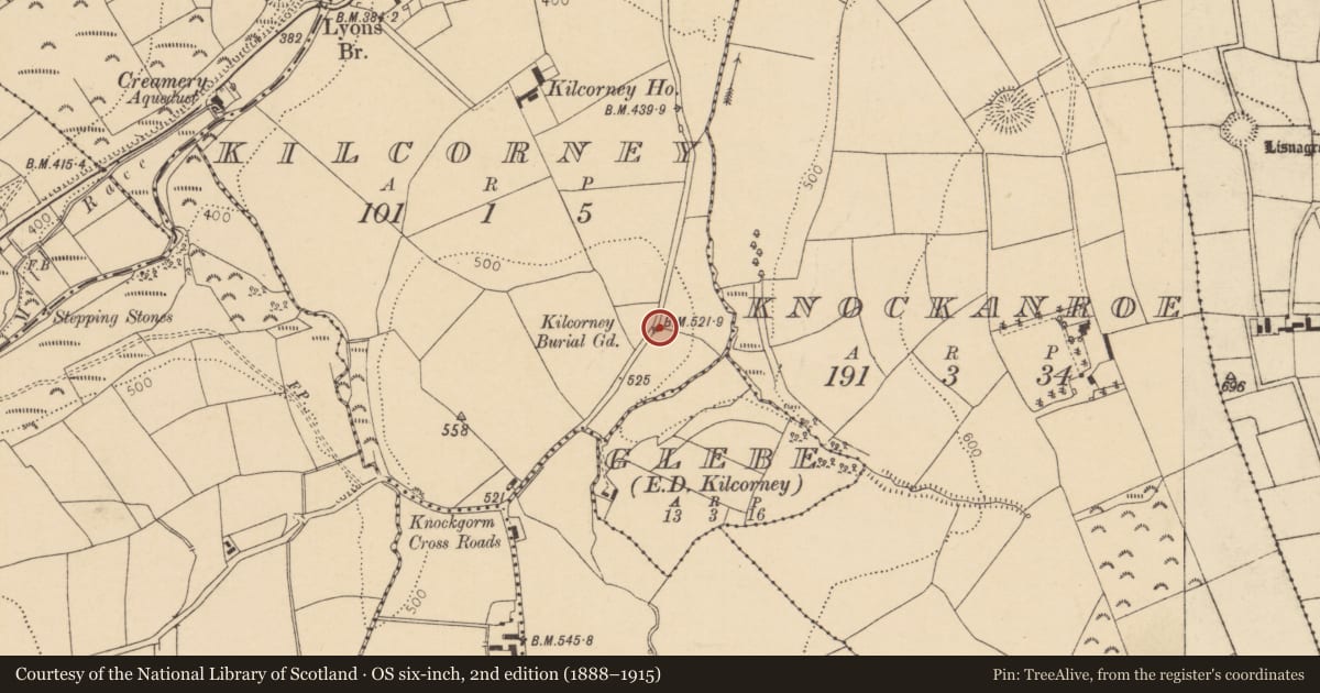 Ordnance Survey six-inch map, 2nd edition (1888–1915) covering the location of Architectural fragment, Kilcorney, County Cork, with a pin at the register's coordinates