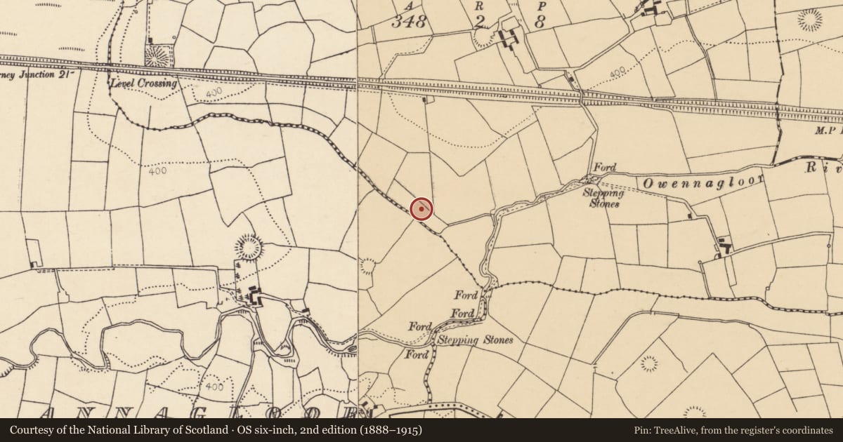 Ordnance Survey six-inch map, 2nd edition (1888–1915) covering the location of Fulacht fia, Shanaknock, County Cork, with a pin at the register's coordinates