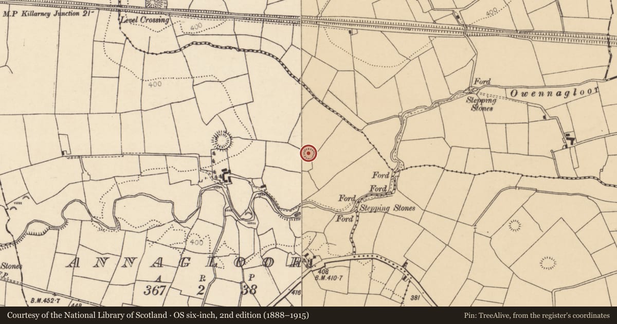 Ordnance Survey six-inch map, 2nd edition (1888–1915) covering the location of Ringfort - rath, Annagloor, County Cork, with a pin at the register's coordinates