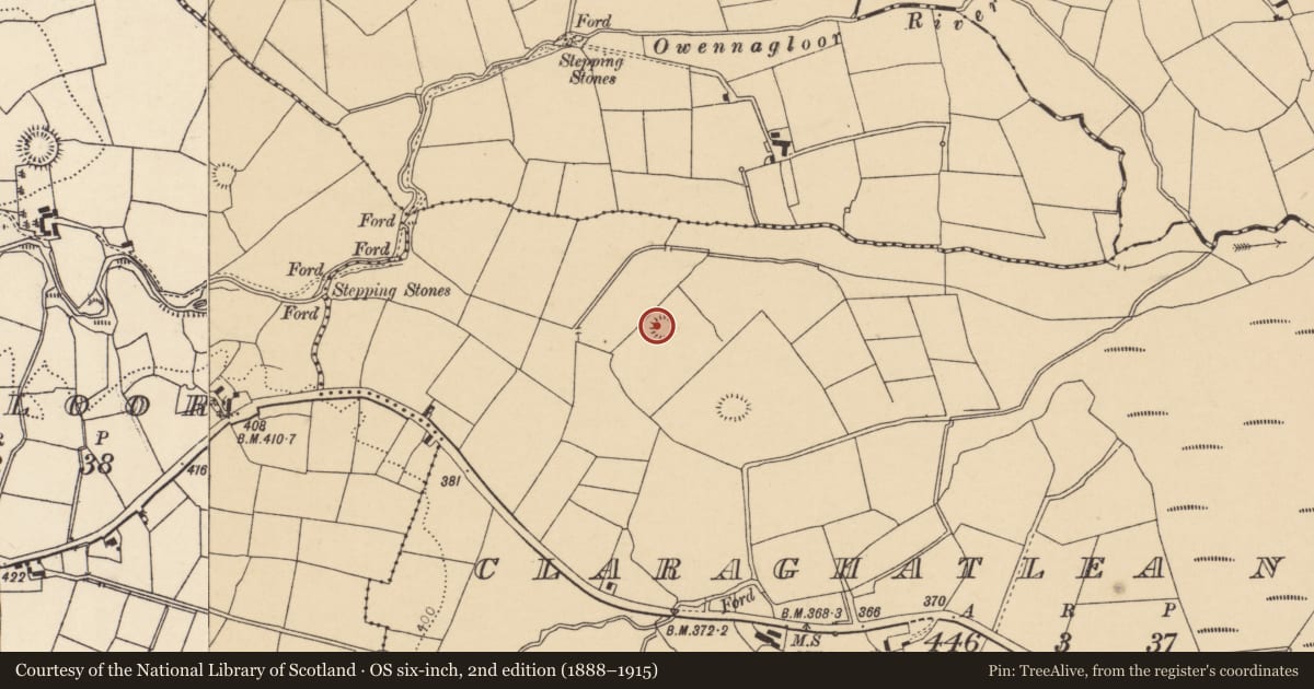 Ordnance Survey six-inch map, 2nd edition (1888–1915) covering the location of Ringfort - rath, Claraghatlea North, County Cork, with a pin at the register's coordinates
