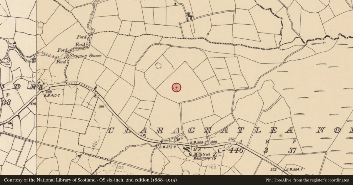 Ordnance Survey six-inch map, 2nd edition (1888–1915) covering the location of Ringfort - rath, Claraghatlea North, County Cork, with a pin at the register's coordinates