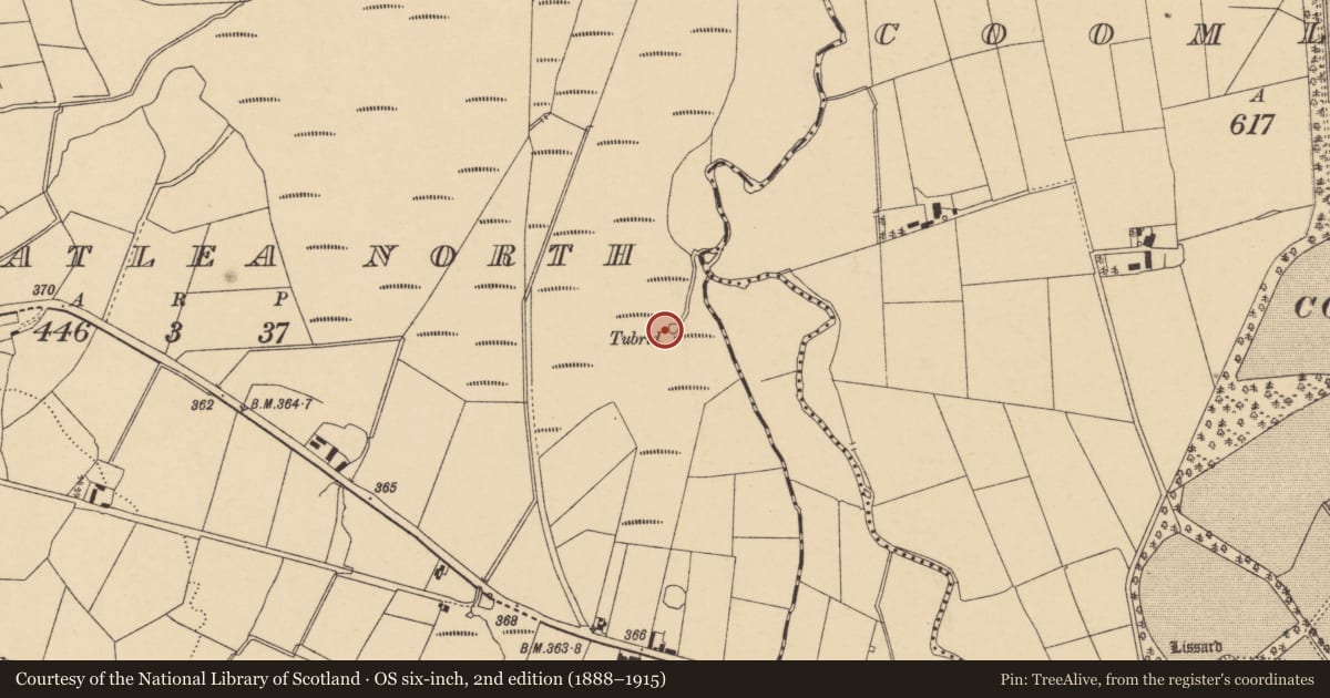 Ordnance Survey six-inch map, 2nd edition (1888–1915) covering the location of Ritual site - holy well, Claraghatlea North, County Cork, with a pin at the register's coordinates