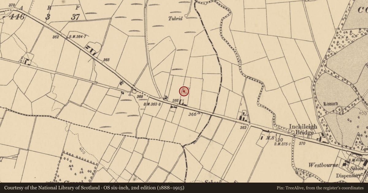 Ordnance Survey six-inch map, 2nd edition (1888–1915) covering the location of Ringfort - rath, Claraghatlea North, County Cork, with a pin at the register's coordinates