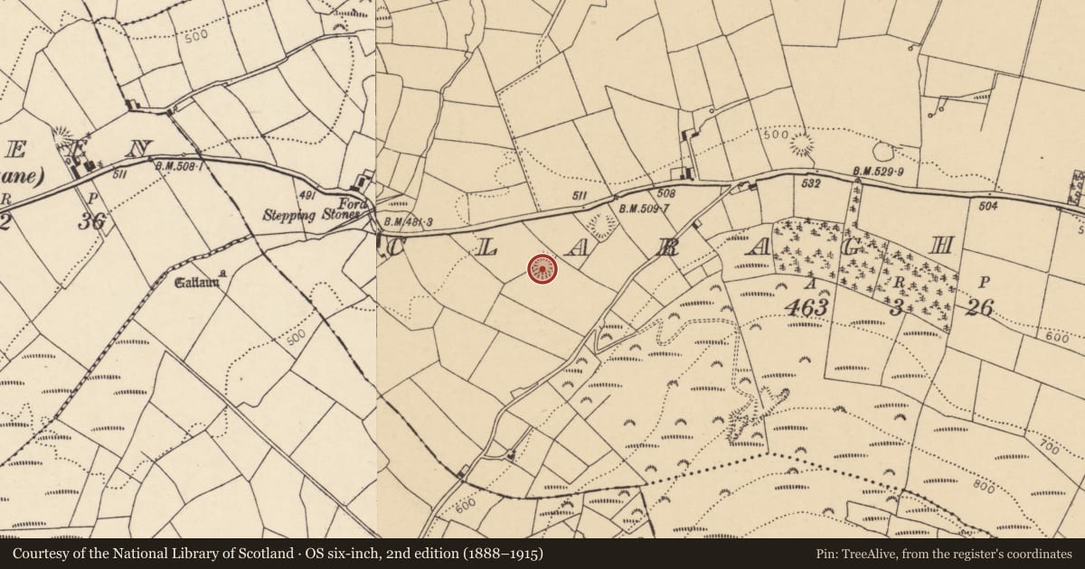 Ordnance Survey six-inch map, 2nd edition (1888–1915) covering the location of Ringfort - rath, Claragh More, County Cork, with a pin at the register's coordinates