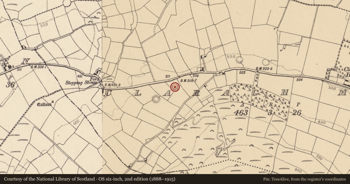 Ordnance Survey six-inch map, 2nd edition (1888–1915) covering the location of Ringfort - rath, Claragh More, County Cork, with a pin at the register's coordinates