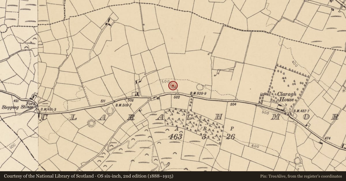 Ordnance Survey six-inch map, 2nd edition (1888–1915) covering the location of Ringfort - rath, Claragh More, County Cork, with a pin at the register's coordinates