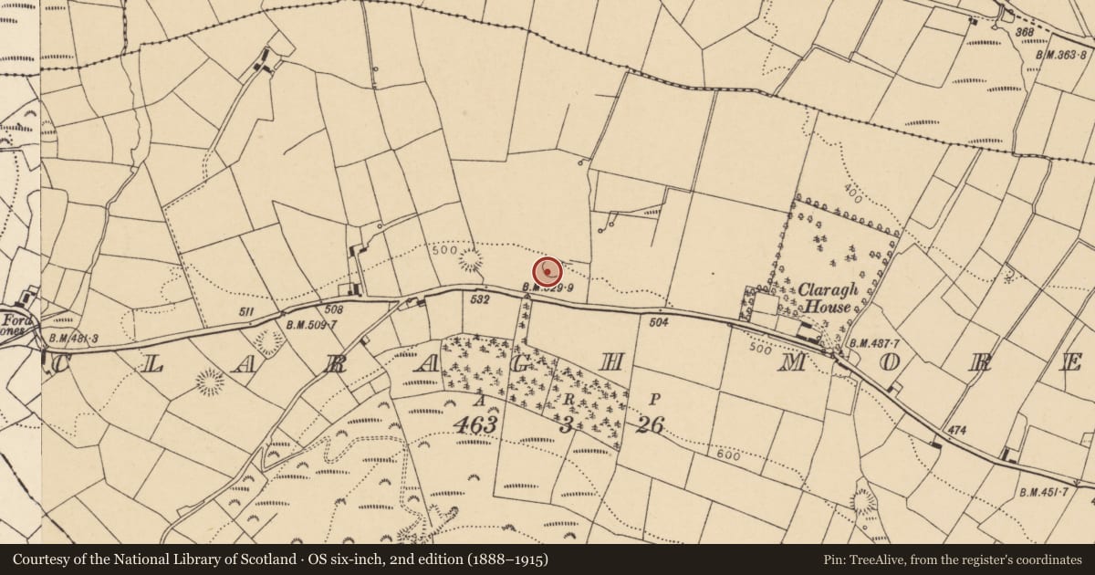 Ordnance Survey six-inch map, 2nd edition (1888–1915) covering the location of Ringfort - rath, Claragh More, County Cork, with a pin at the register's coordinates